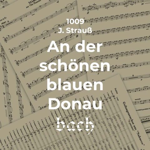 1009 - An der schönen blauen Donau