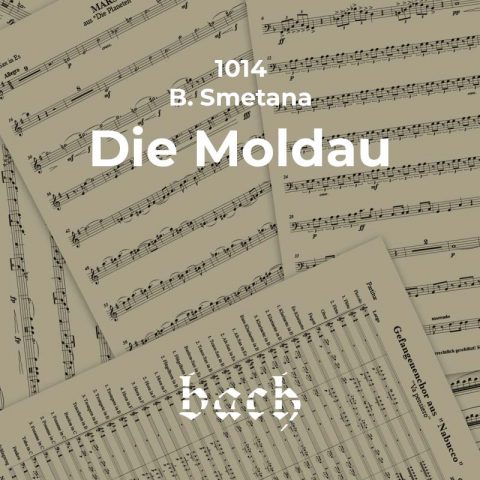 1014 - Die Moldau