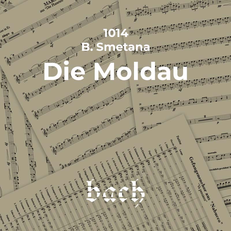 1014 - Die Moldau