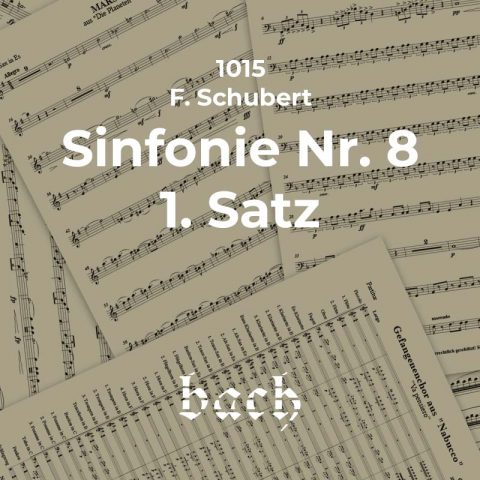 1015 - Sinfonie Nr. 8 1. Satz