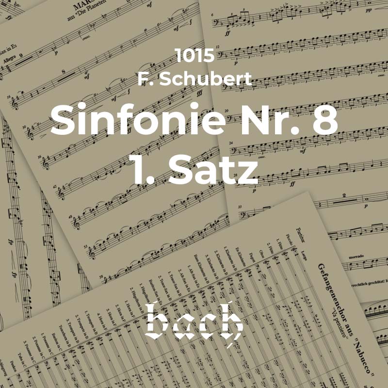 1015 - Sinfonie Nr. 8 1. Satz