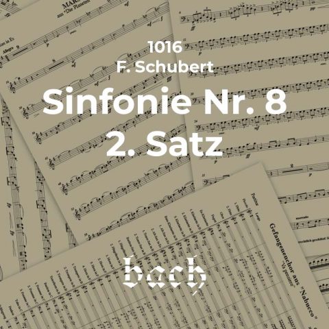 1016 - Sinfonie Nr. 8 2. Satz