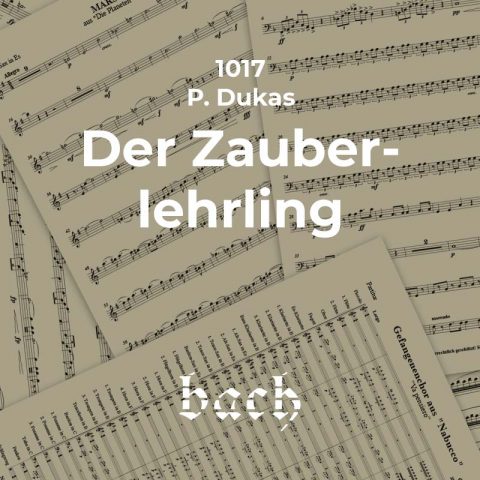1017 - Der Zauberlehrling