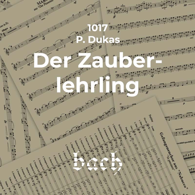 1017 - Der Zauberlehrling