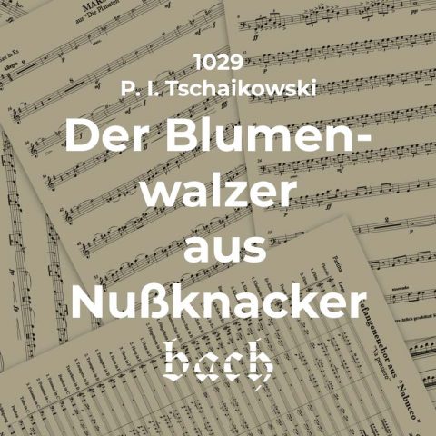 1029 - Blumenwalzer aus Nußknacker