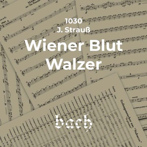 1030 - Wiener Blut Walzer