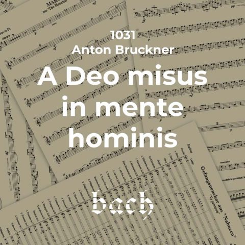 1031 - A Deo misus in mente hominis