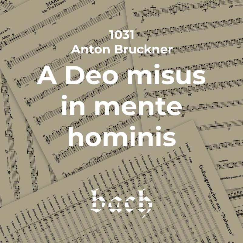 1031 - A Deo misus in mente hominis